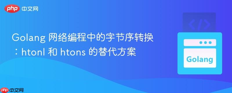 golang 网络编程中的字节序转换:htonl 和 htons 的替代方案