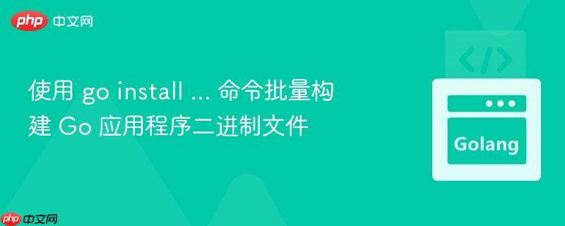 使用 go install ... 命令批量构建 Go 应用程序二进制文件