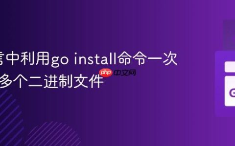 Go语言中利用go install命令一次性构建多个二进制文件
