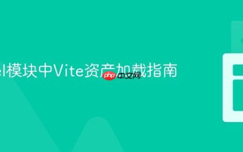 Laravel模块中Vite资产加载指南