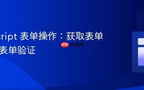 JavaScript 表单操作：获取表单数据与表单验证