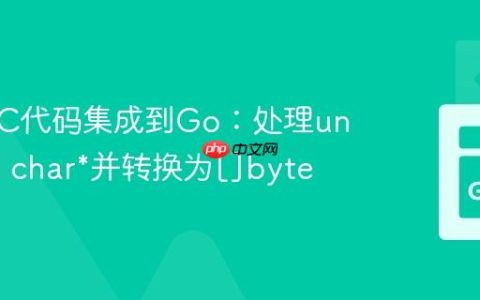 将现有C代码集成到Go：处理unsigned char*并转换为[]byte