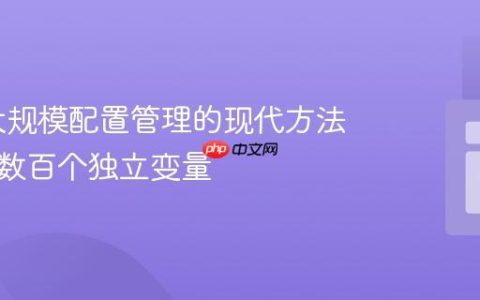 PHP 大规模配置管理的现代方法：告别数百个独立变量