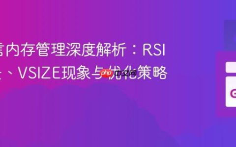 Go语言内存管理深度解析：RSIZE增长、VSIZE现象与优化策略