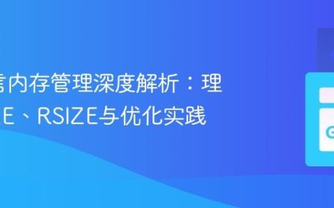 Go语言内存管理深度解析：理解VSIZE、RSIZE与优化实践