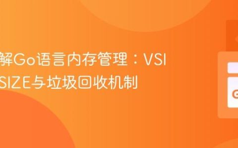 深入理解Go语言内存管理：VSIZE、RSIZE与垃圾回收机制