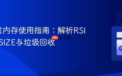 Go语言内存使用指南：解析RSIZE、VSIZE与垃圾回收