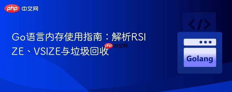 go语言内存使用指南:解析rsize、vsize与垃圾回收