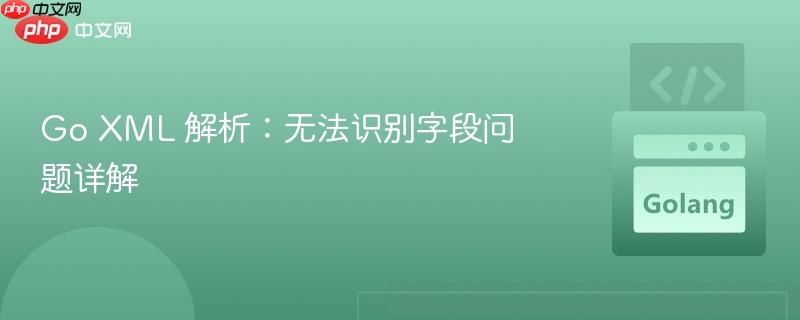 go xml 解析:无法识别字段问题详解