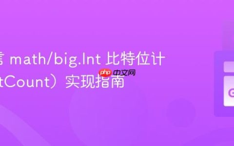 Go语言 math/big.Int 比特位计数（BitCount）实现指南