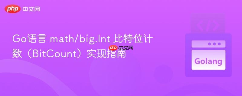 Go语言 math/big.Int 比特位计数（BitCount）实现指南