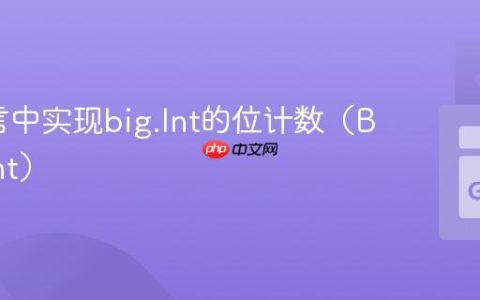 Go语言中实现big.Int的位计数（BitCount）
