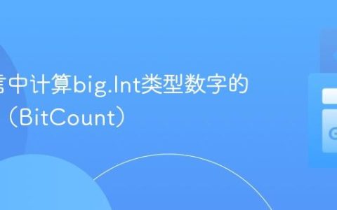 Go语言中计算big.Int类型数字的设置位（BitCount）