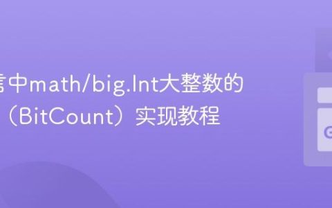 Go语言中math/big.Int大整数的位计数（BitCount）实现教程