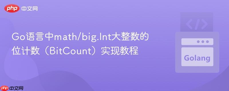 Go语言中math/big.Int大整数的位计数(BitCount)实现教程
