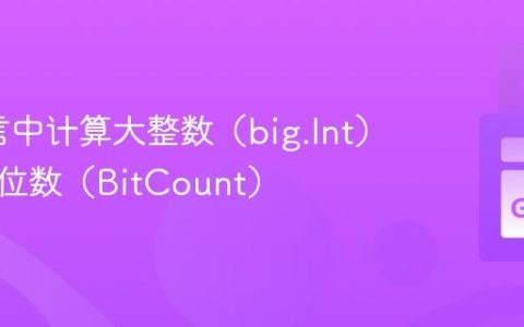 Go语言中计算大整数（big.Int）的设置位数（BitCount）
