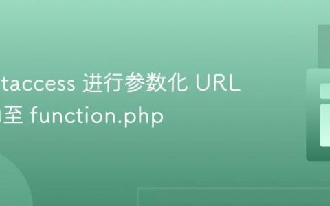 使用 .htaccess 进行参数化 URL 重定向至 function.php