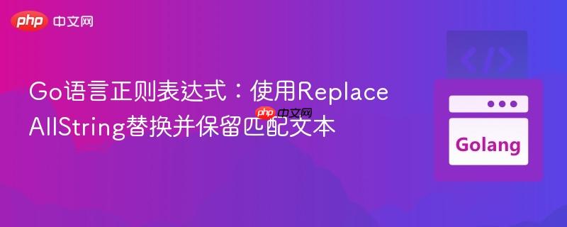 Go语言正则表达式:使用ReplaceAllString替换并保留匹配文本