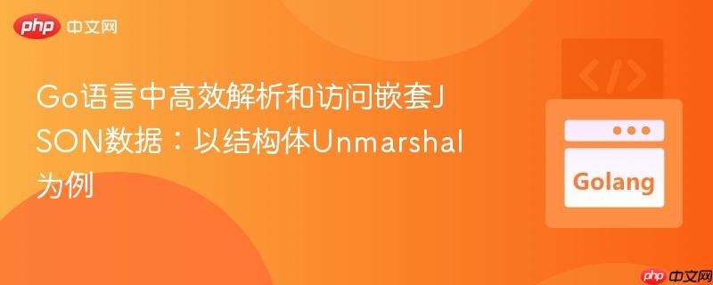 Go语言中高效解析和访问嵌套JSON数据：以结构体Unmarshal为例