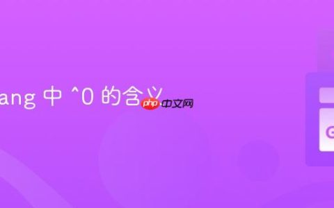 在 Golang 中 ^0 的含义