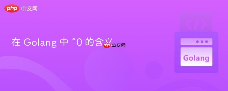 在 golang 中 ^0 的含义