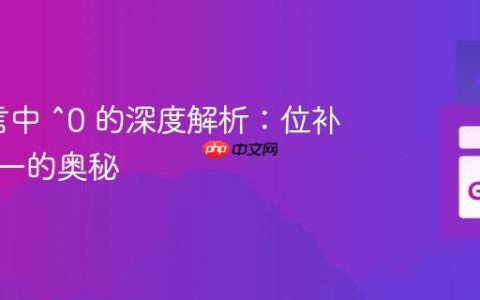 Go语言中 ^0 的深度解析：位补码与负一的奥秘