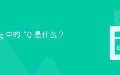 Golang 中的 ^0 是什么？