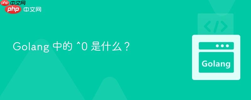golang 中的 ^0 是什么?