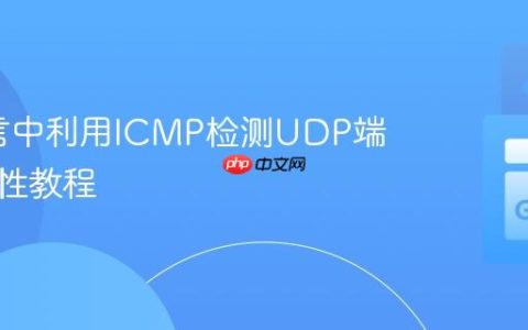 Go语言中利用ICMP检测UDP端口可达性教程