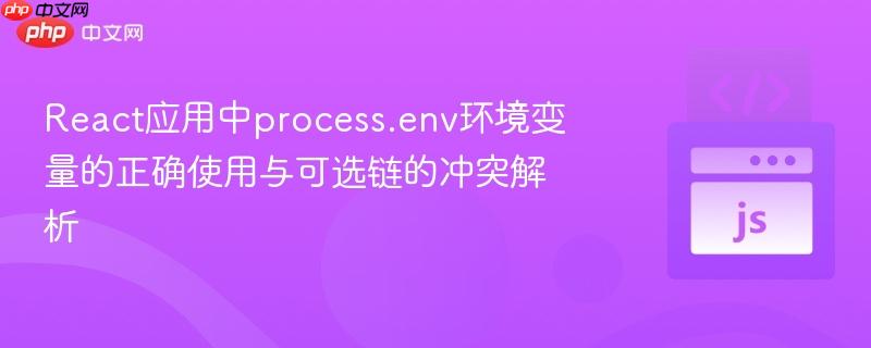 React应用中process.env环境变量的正确使用与可选链的冲突解析