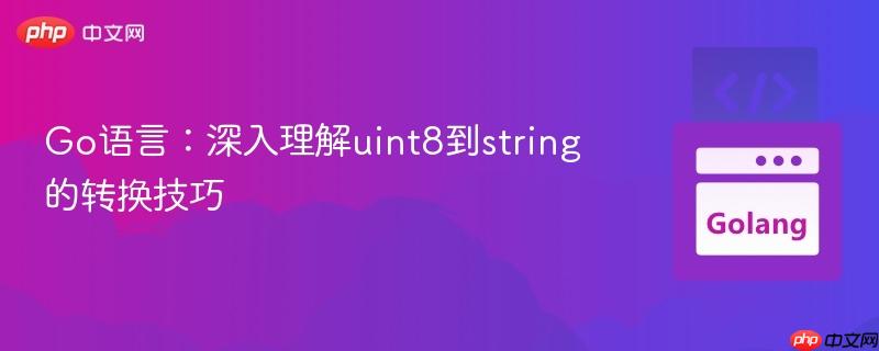 Go语言:深入理解uint8到string的转换技巧