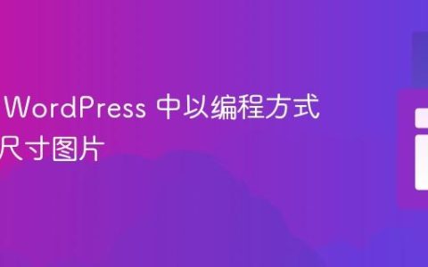 如何在 WordPress 中以编程方式上传多尺寸图片