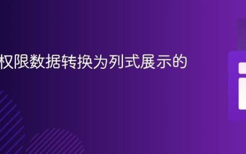 将行式权限数据转换为列式展示的教程