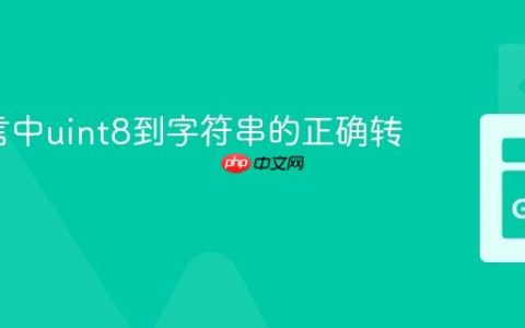 Go语言中uint8到字符串的正确转换方法