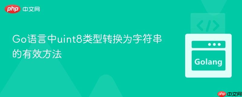 Go语言中uint8类型转换为字符串的有效方法