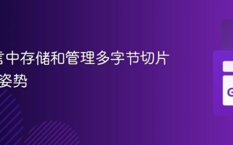 Go语言中存储和管理多字节切片的正确姿势