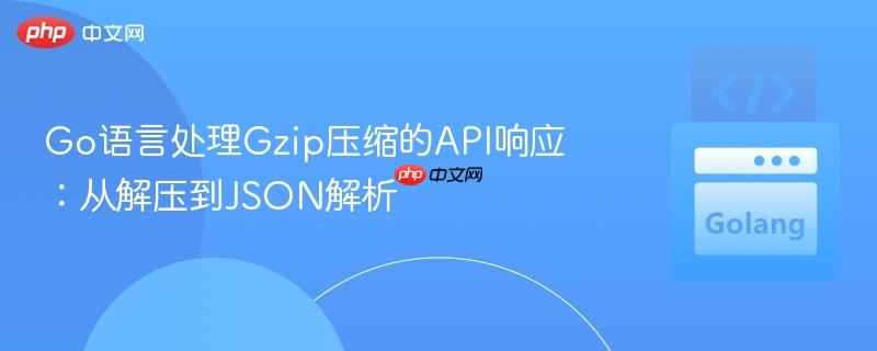 Go语言处理Gzip压缩的API响应:从解压到JSON解析