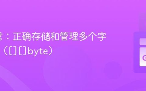 Go语言：正确存储和管理多个字节切片（[][]byte）