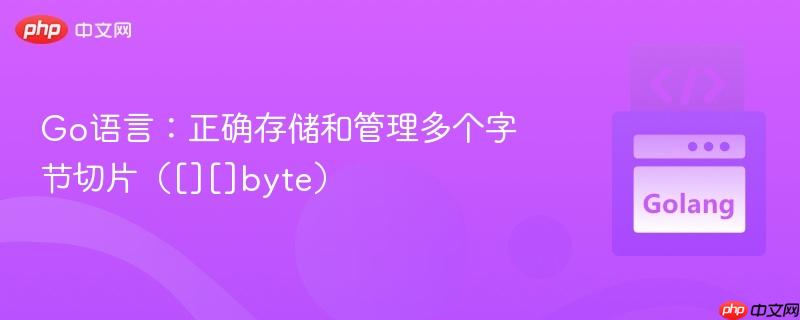 Go语言：正确存储和管理多个字节切片（[][]byte）