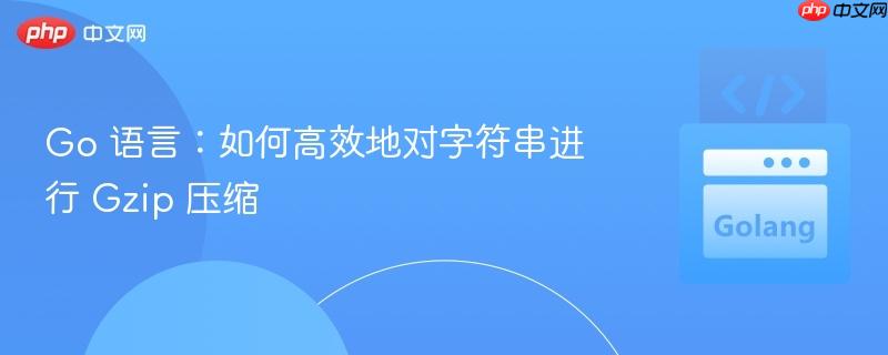Go 语言:如何高效地对字符串进行 Gzip 压缩