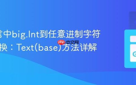 Go语言中big.Int到任意进制字符串的转换：Text(base)方法详解