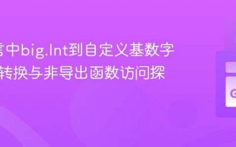 Go语言中big.Int到自定义基数字符串的转换与非导出函数访问探究