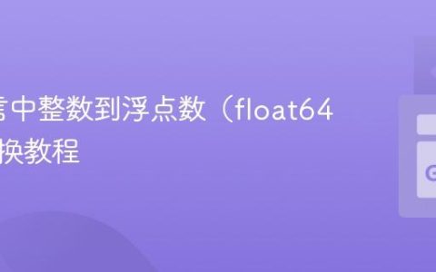 Go语言中整数到浮点数（float64）的转换教程