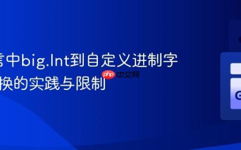 Go语言中big.Int到自定义进制字符串转换的实践与限制