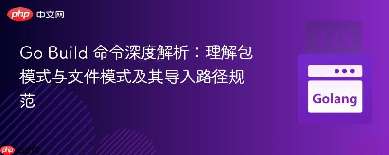 Go Build 命令深度解析:理解包模式与文件模式及其导入路径规范