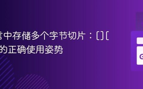 Go语言中存储多个字节切片：[][]byte 的正确使用姿势