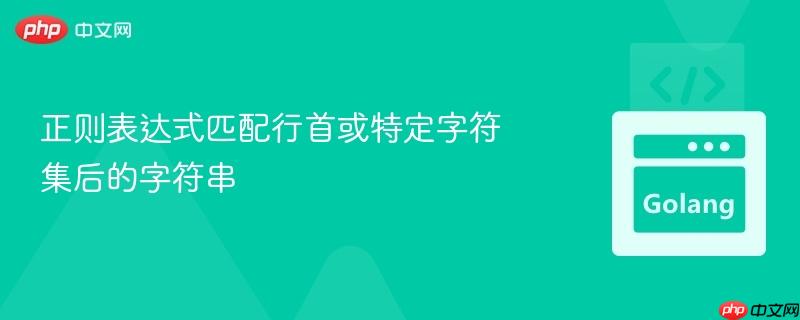 正则表达式匹配行首或特定字符集后的字符串