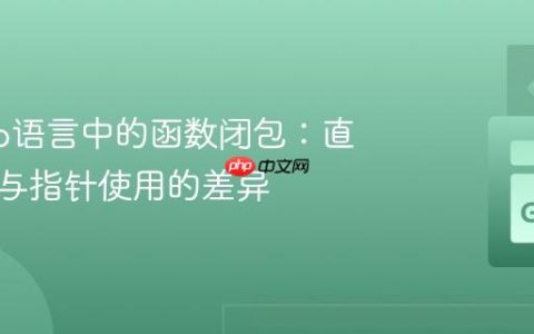 理解Go语言中的函数闭包：直接调用与指针使用的差异