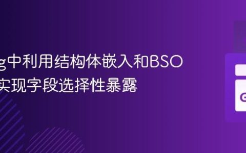 Golang中利用结构体嵌入和BSON标签实现字段选择性暴露