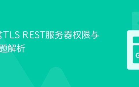 Go语言TLS REST服务器权限与阻塞问题解析